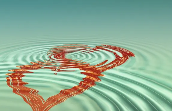 카지노 하이 벳 지원